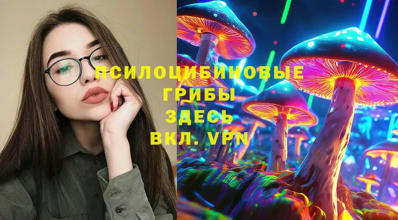 Галлюциногенные грибы Psilocybine cubensis  Переславль-Залесский 